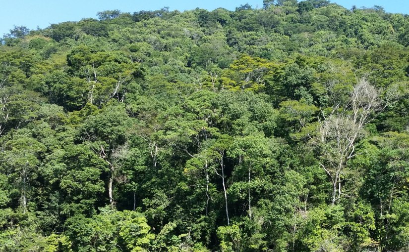 Ibijuru, a Terra da&nbsp;Tristeza